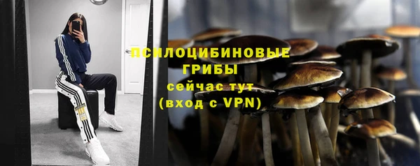 скорость mdpv Богданович