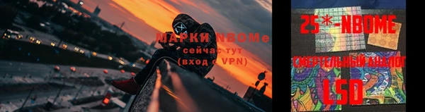 прущий лед Богородицк