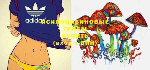 прущий лед Богородицк